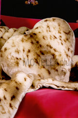 Cuscino Lince Cuore Grande Blumarine