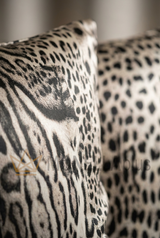 Μαξιλάρι Frame Skins SILK Roberto Cavalli