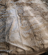 Completo lenzuola LUPO ROBERTO CAVALLI