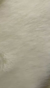 쿠션 St. Moritz <tc>Blumarine</tc>