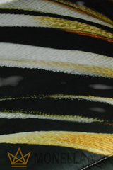 Colcha ray of gold Roberto Cavalli