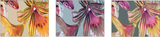 Trapunta Orchidea Svad Dondi 25029